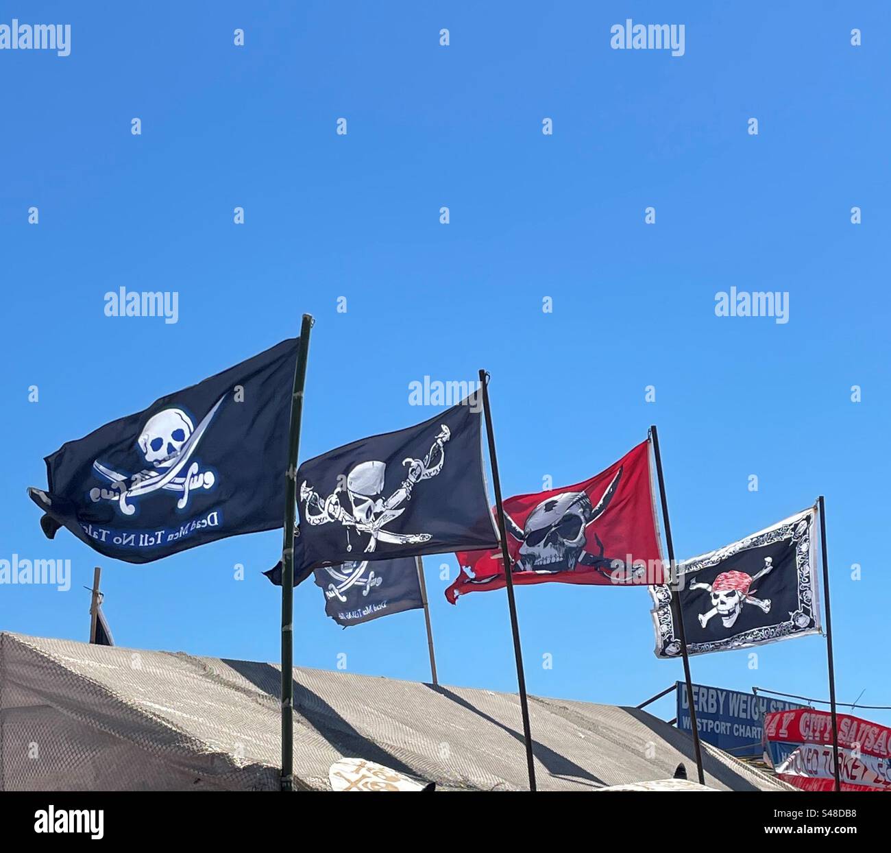 Pirate flags flying over Westport Washington at Pirate Days Stock Photo