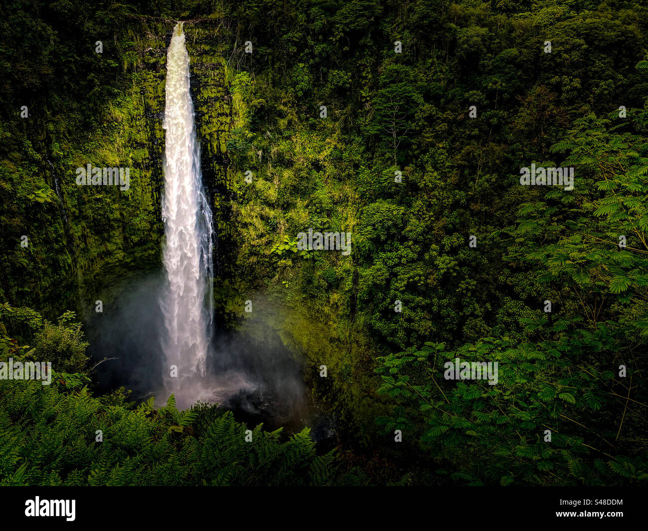Akaka falls in the big island of Hawaii - Smartphone Captured Stock Image
