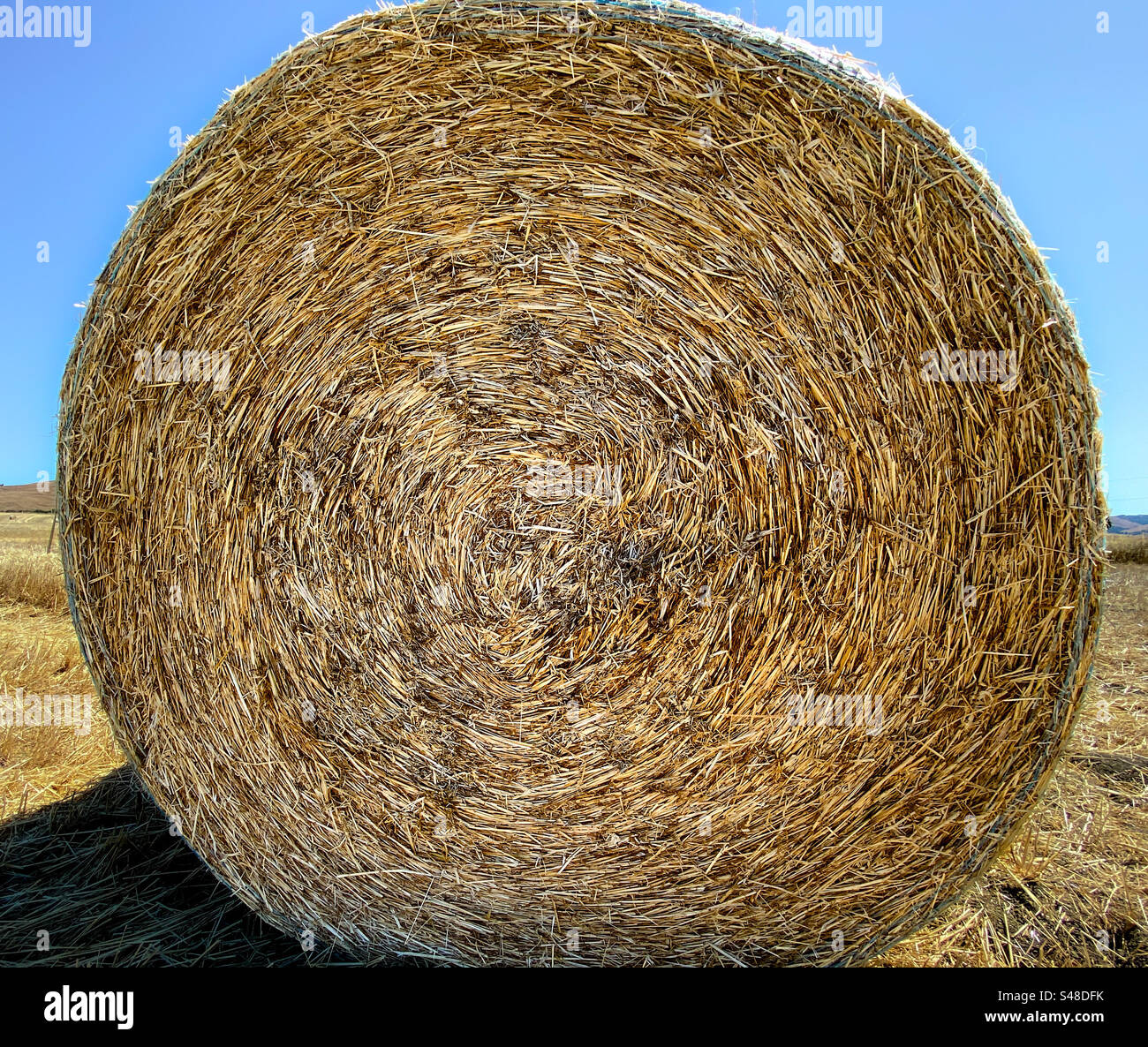 Large bale of hay in the Tuscan countryside Stock Photo