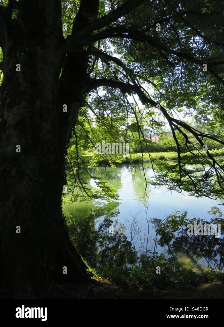 Bally Park - Smartphone Captured Stock Image