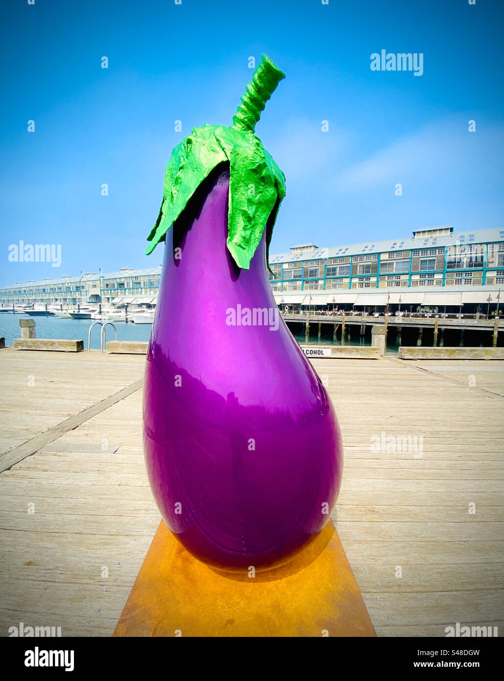 6 foot tall Eggplant statue by artist Aldo Bilotta at Wooloomooloo wharf in Sydney, Australia Stock Photo