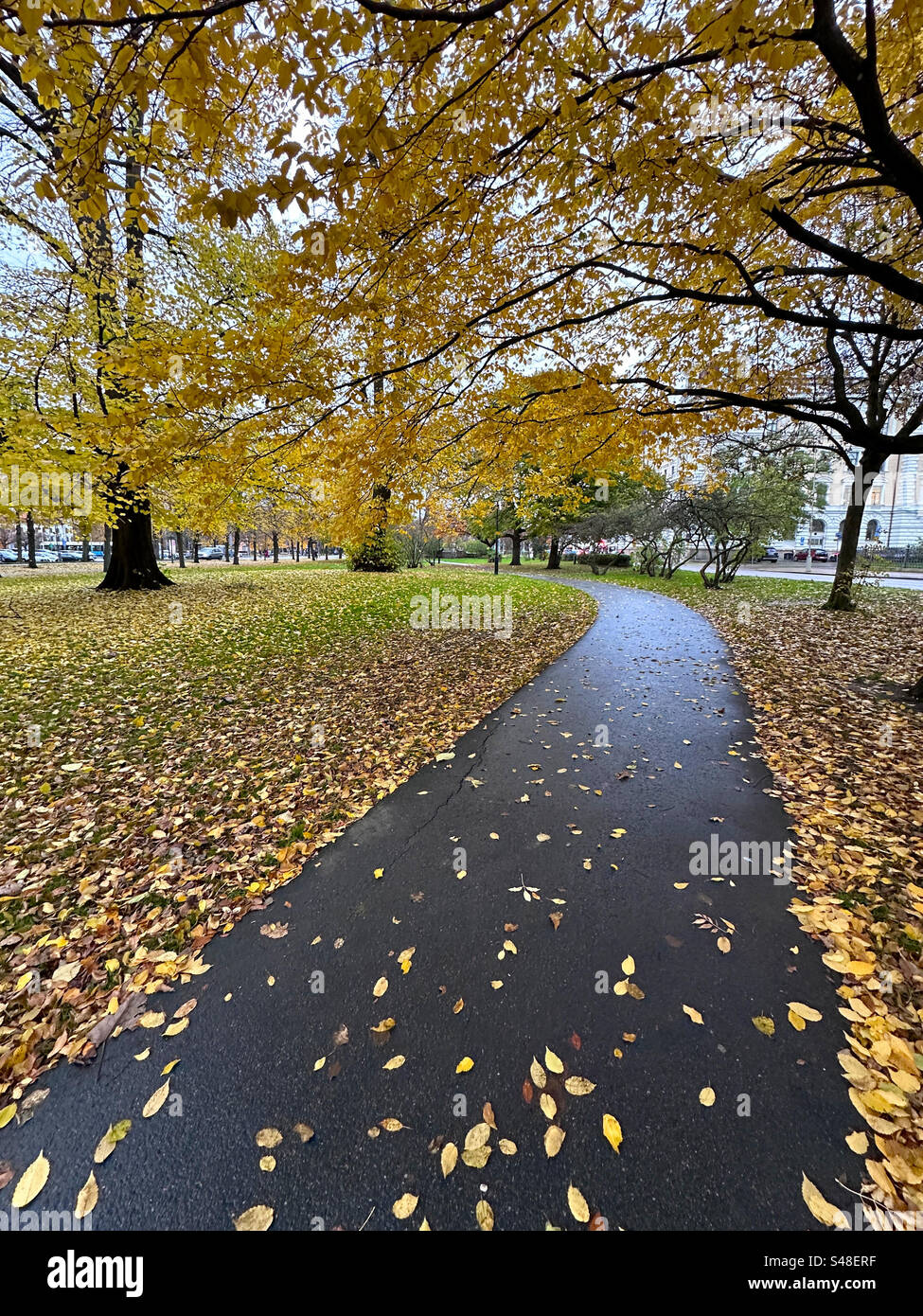 A leaf strewn path in the Kungsparken park in Gothenburg, Sweden. Stock Photo