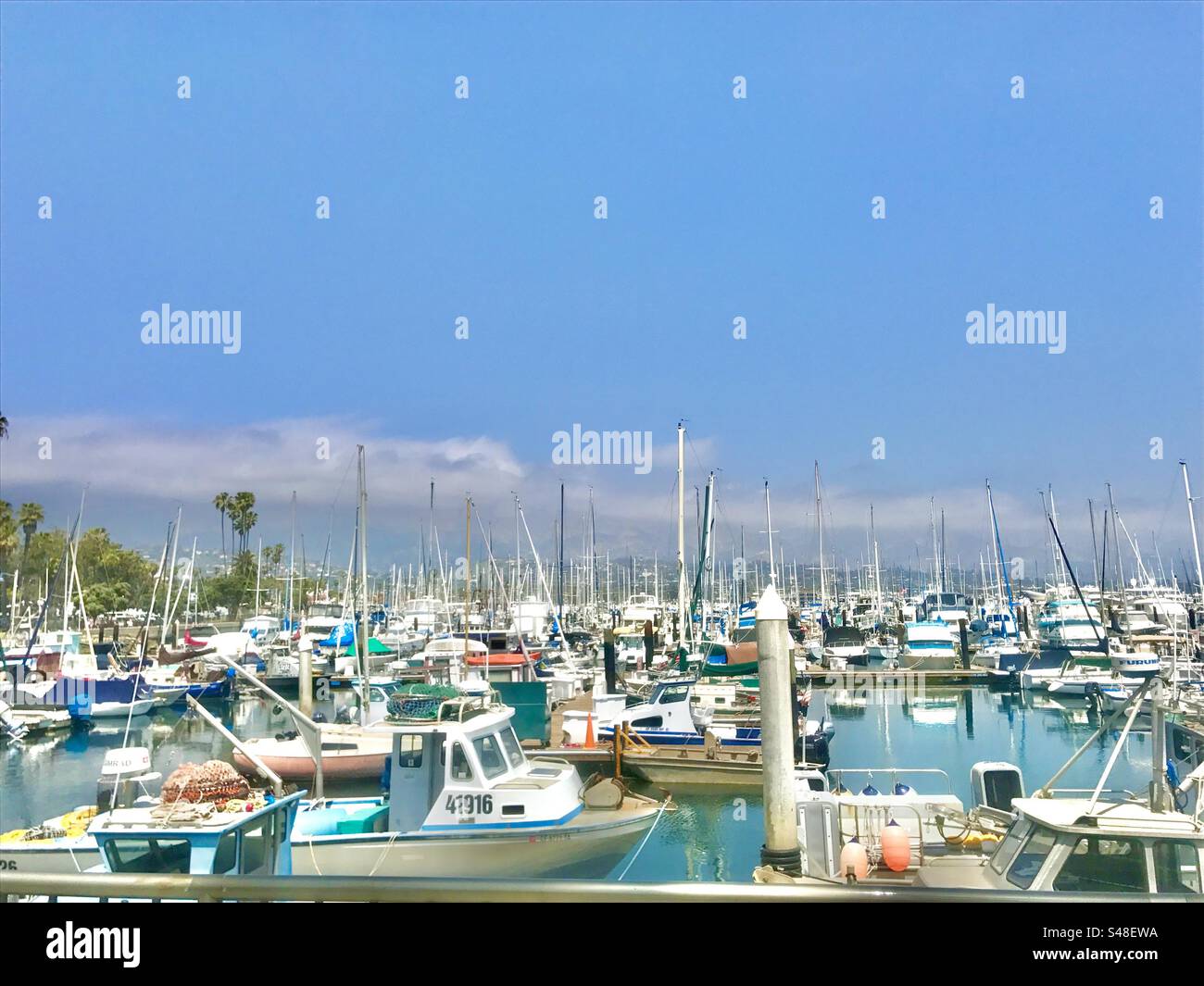 Santa Barbara Harbor in Spring packed with sailing vessels - Smartphone Captured Stock Image