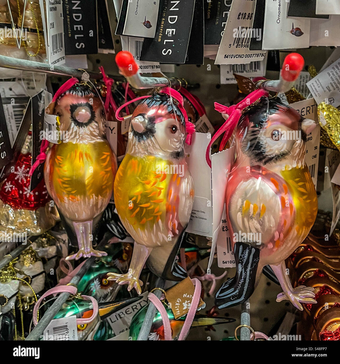 Christmas birds - Smartphone Captured Stock Image