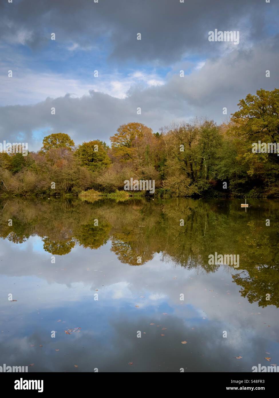 Reflections at Cannop Ponds. Forest of Dean - Smartphone Captured Stock Image