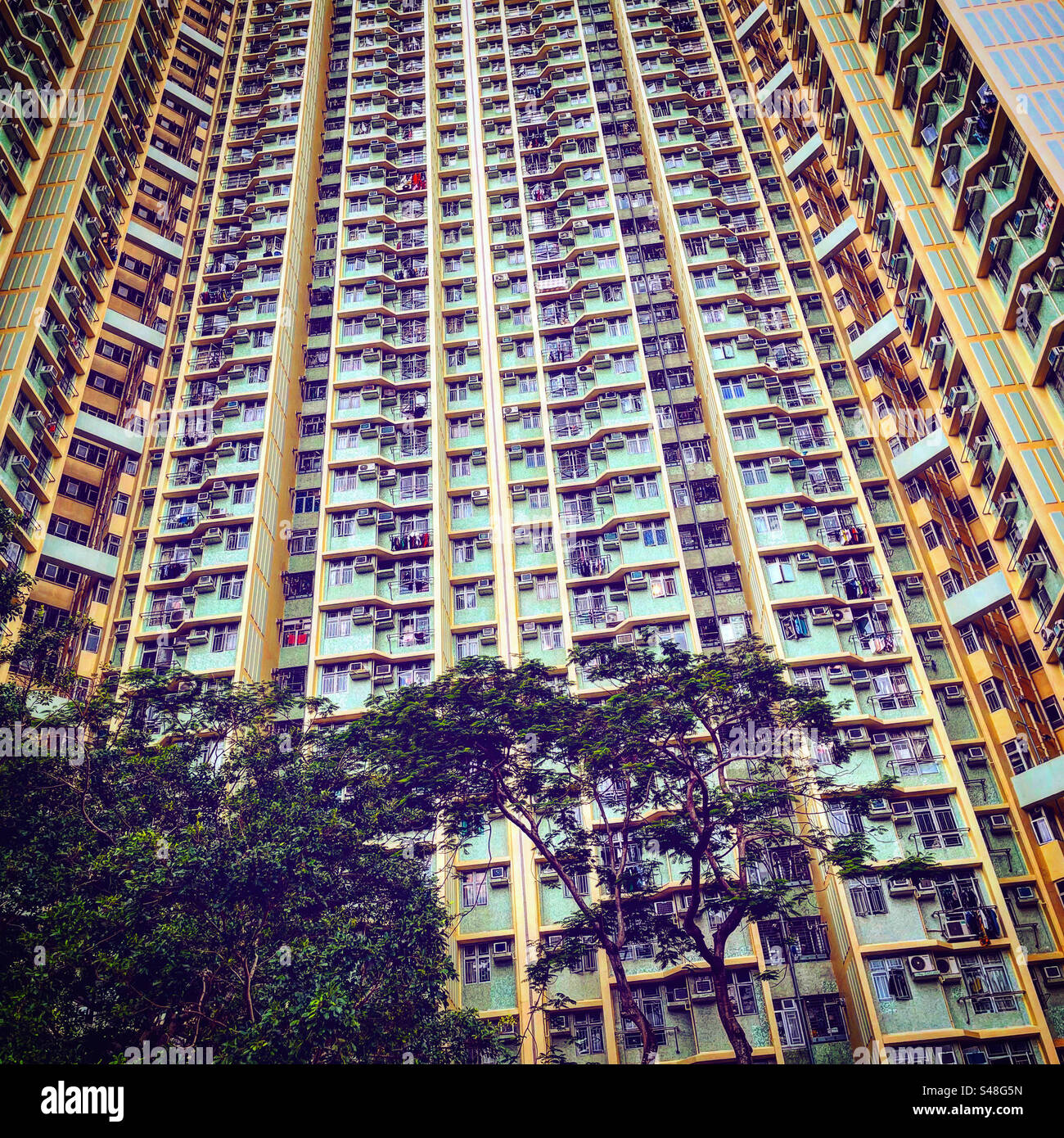 full screen frame photo of complex council flats appartment tower in hk hong kong building in downtown suburbs in hang hau estate - Smartphone Captured Stock Image