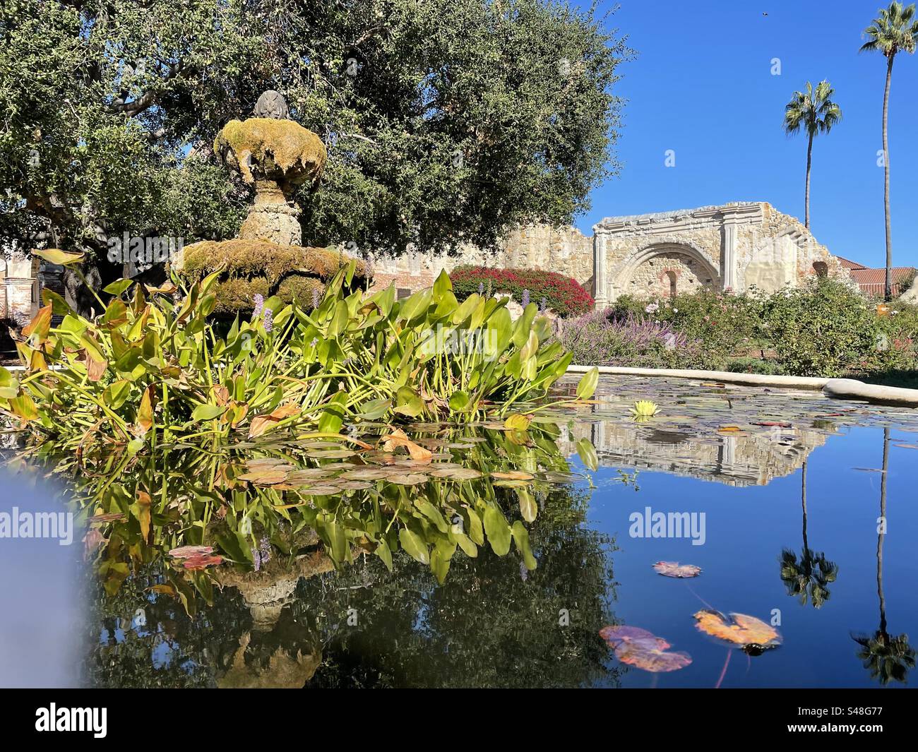 San Juan Capistrano, California Mission, Koi fish pond, water lilies
