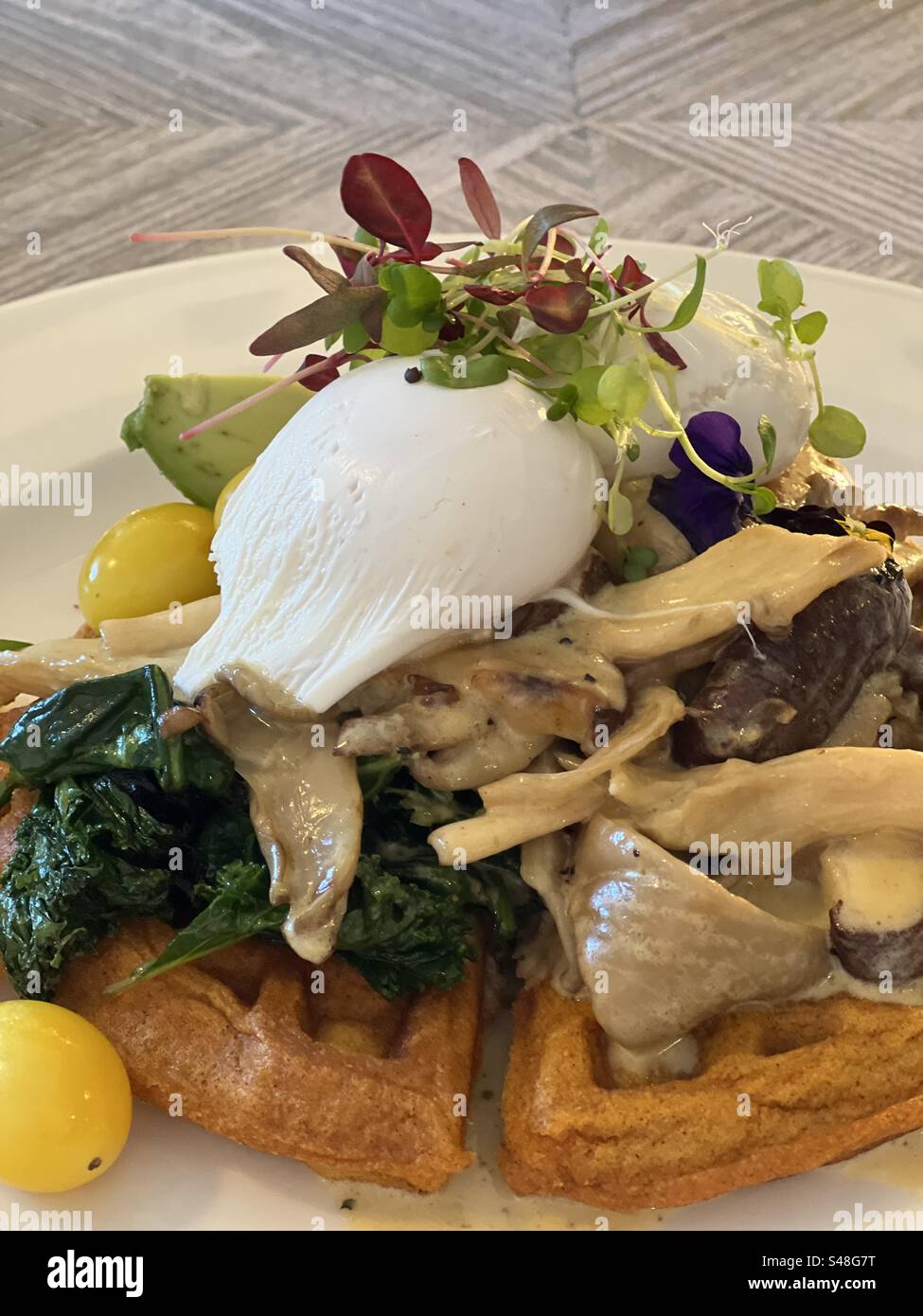 Seeet potato waffle with creamed wild mushrooms, kale, avocado, organic