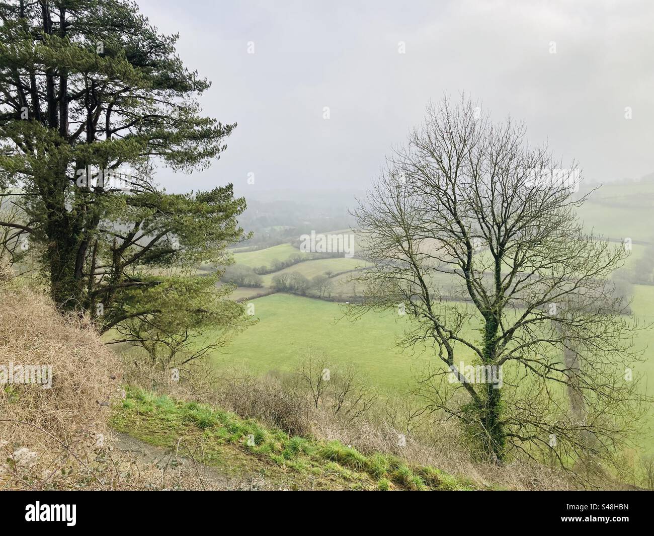 Countryside View at Great Torrington, Devon in the winter - Smartphone Captured Stock Image