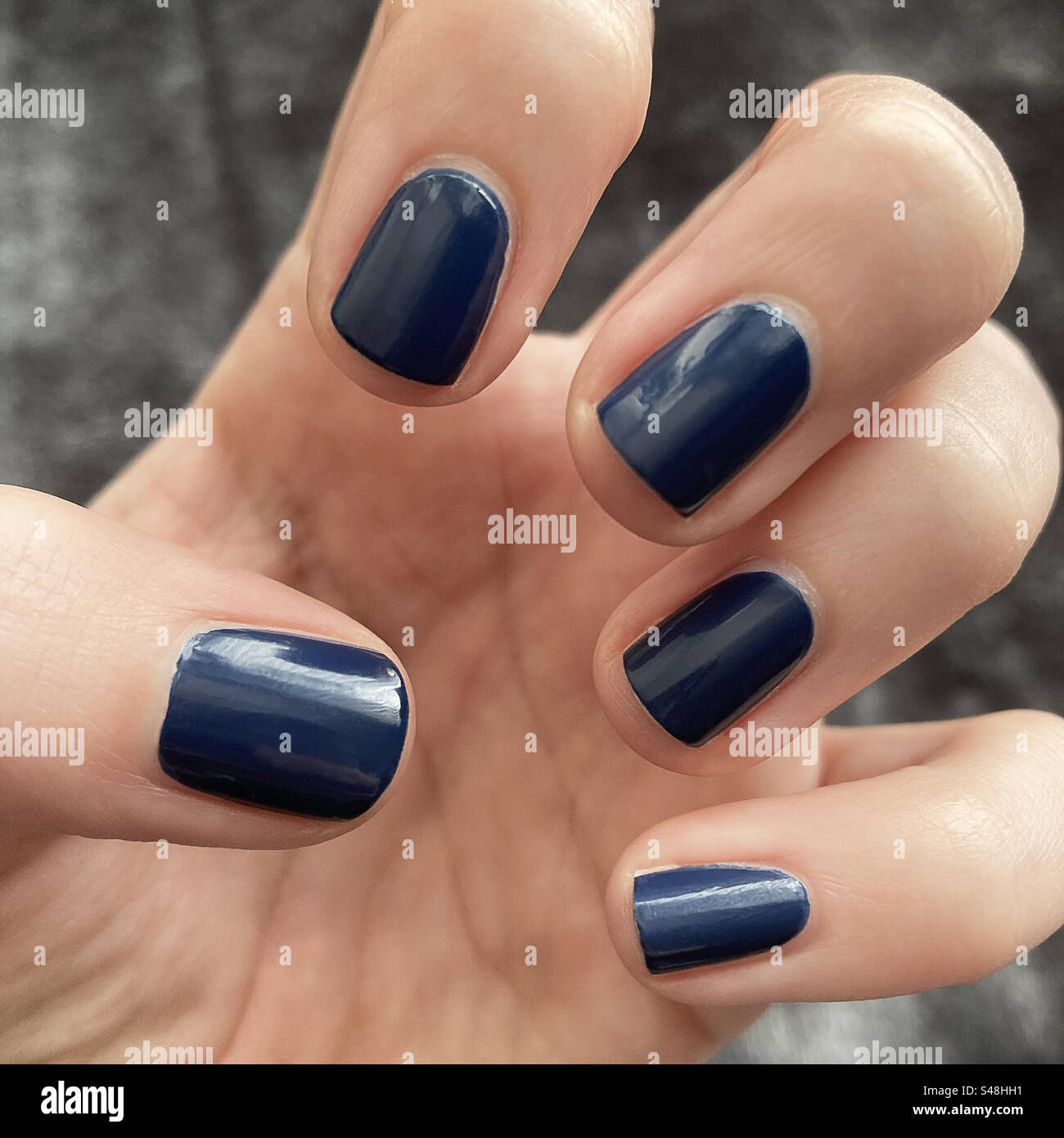 Amazon.com : ILNP You Up? - Deep Navy Blue Holographic Nail Polish, 7-Free,  Non-Toxic, Vegan, Cruelty Free, 12ml : Beauty & Personal Care