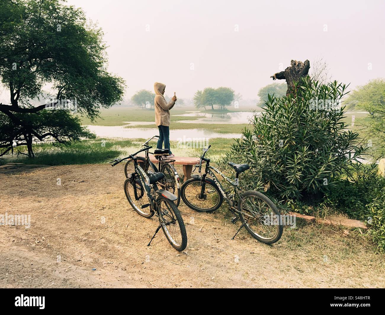 A person clicking pictures of nature in a forest with bicycles in the foreground - Smartphone Captured Stock Image