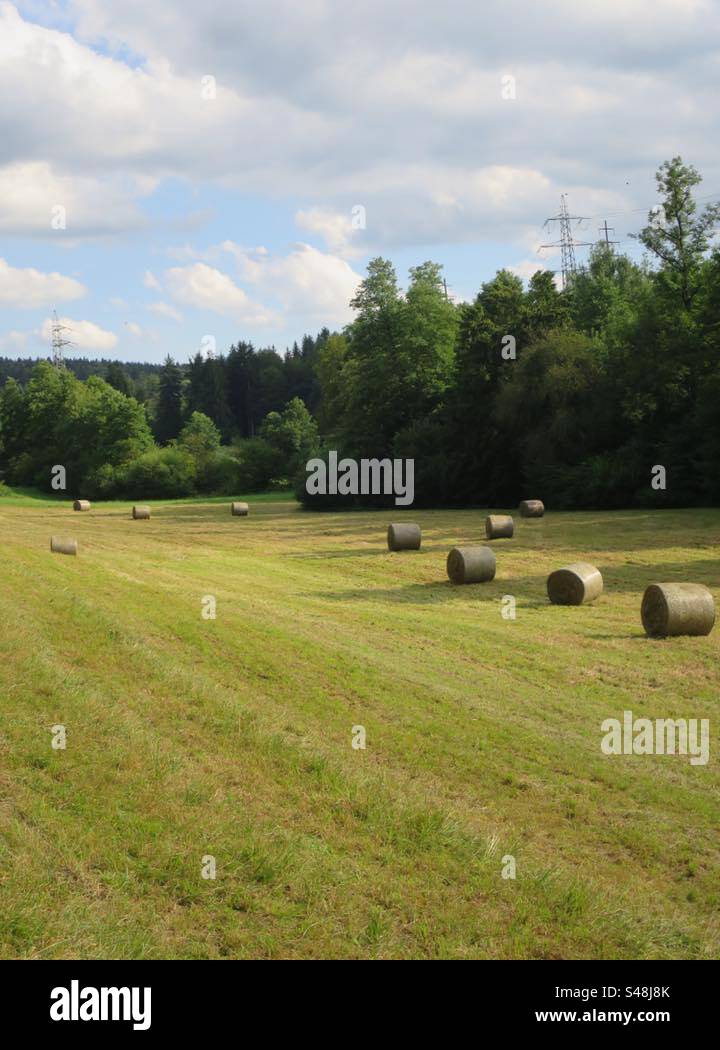 Summer Landscape! Switzerland! - Smartphone Captured Stock Image