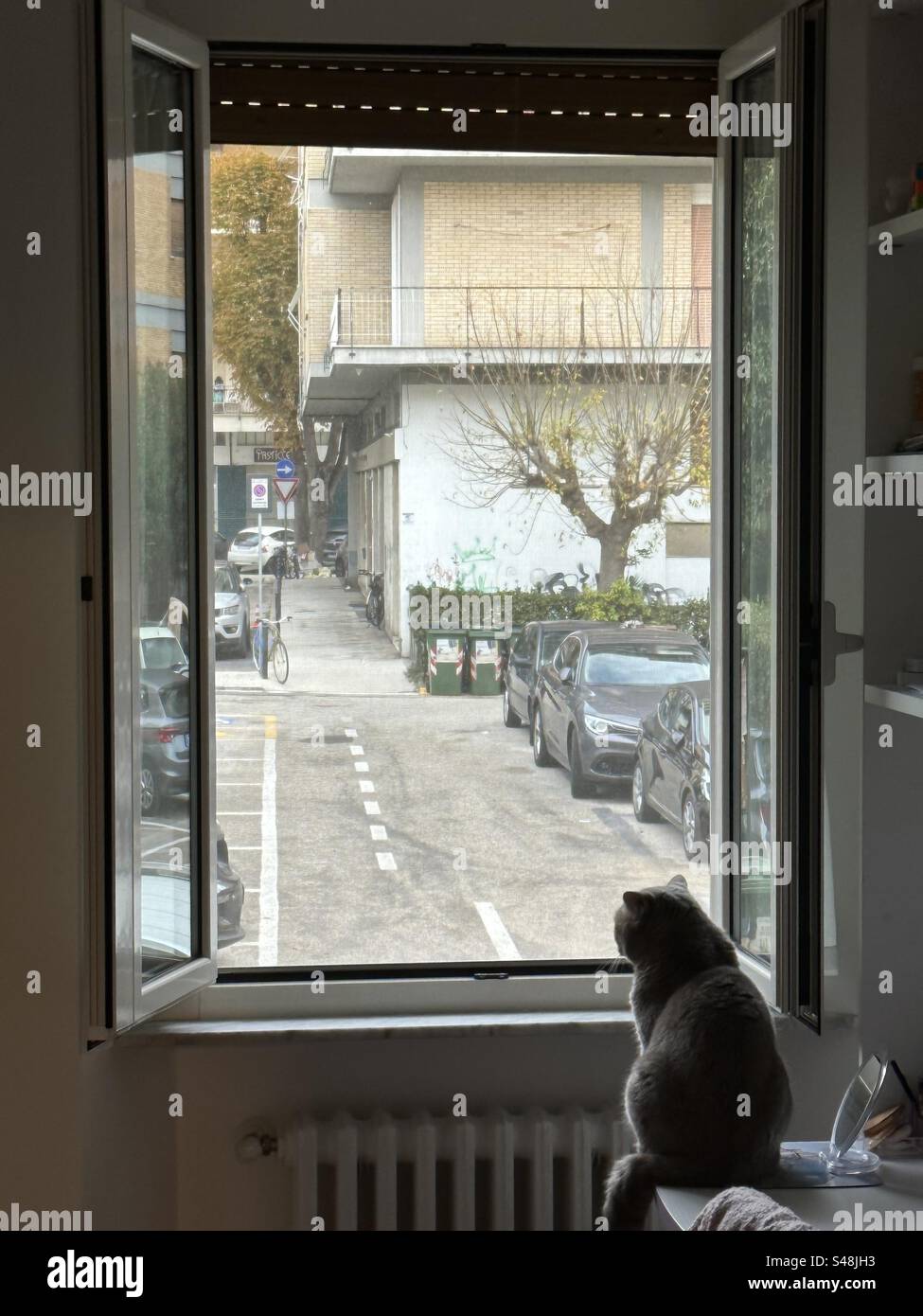 After the window - Smartphone Captured Stock Image