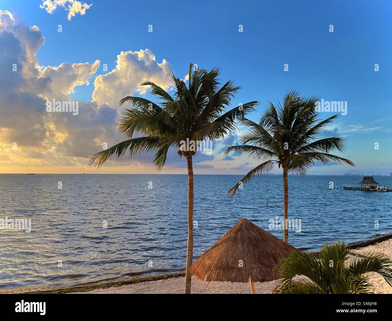 A beautiful afternoon sunset with two palm trees and a straw umbrella in Cancun, Mexico. The water is placid. The sky is golden and blue with clouds. There is sand and seaweed on the beach. Stock Photo
