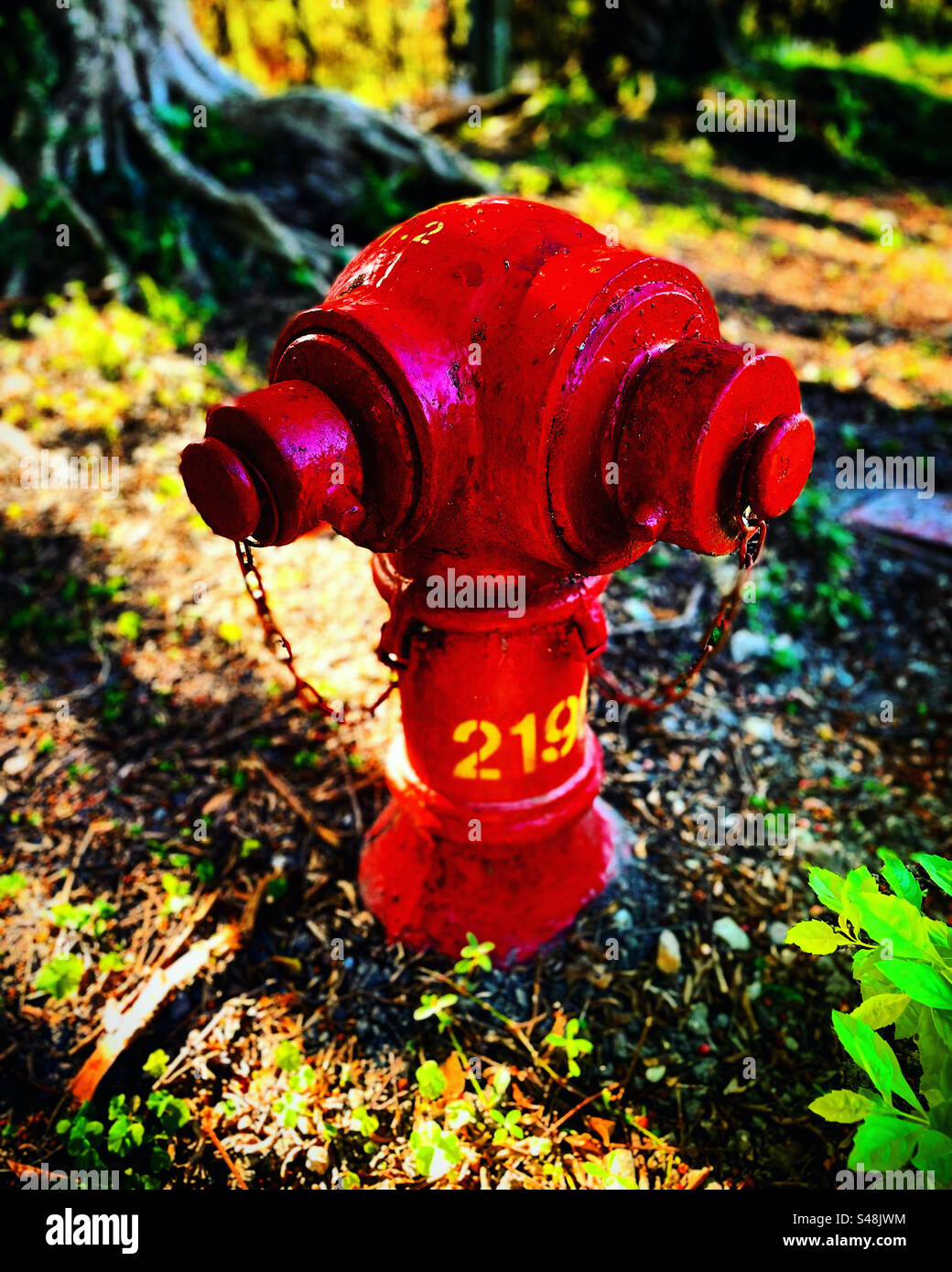 hong kong fire hydrant in red color outside along the street road on grass made from solid steel metal ready to be used by fireman or firetruck - Smartphone Captured Stock Image