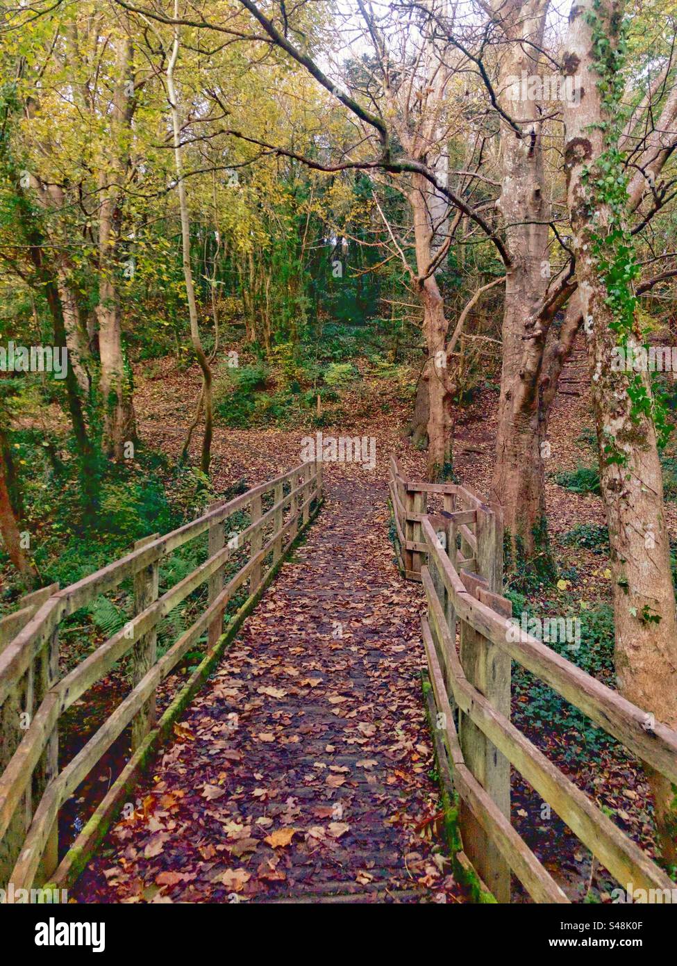 Wooden bridge leading to forest trail near Pilgrims Way Close to Cathedral City of Bangor Notth Wales. - Smartphone Captured Stock Image