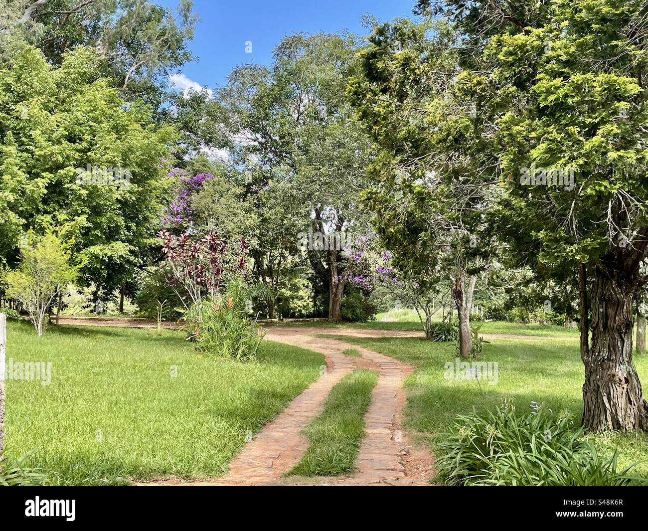 Down The Track, MG, Brasil - Smartphone Captured Stock Image
