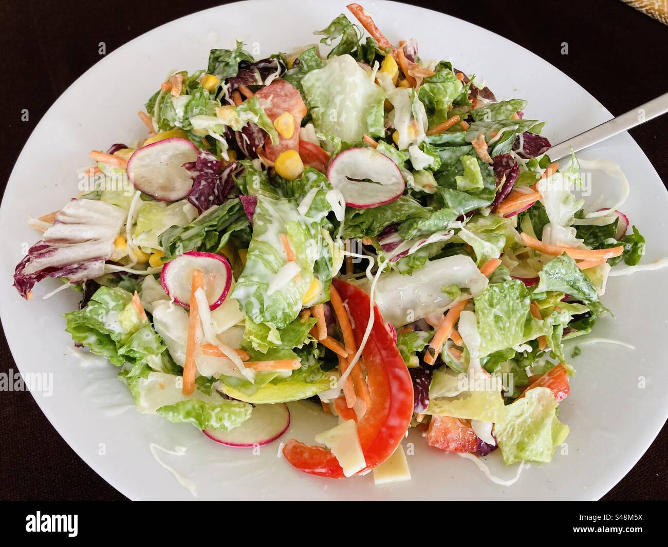 Salat zum Mittagessen Stock Photo