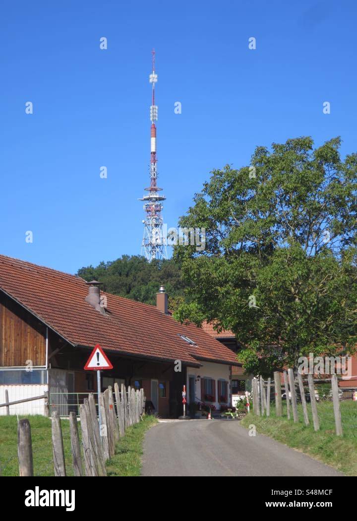 Summer Landscape! Switzerland! - Smartphone Captured Stock Image