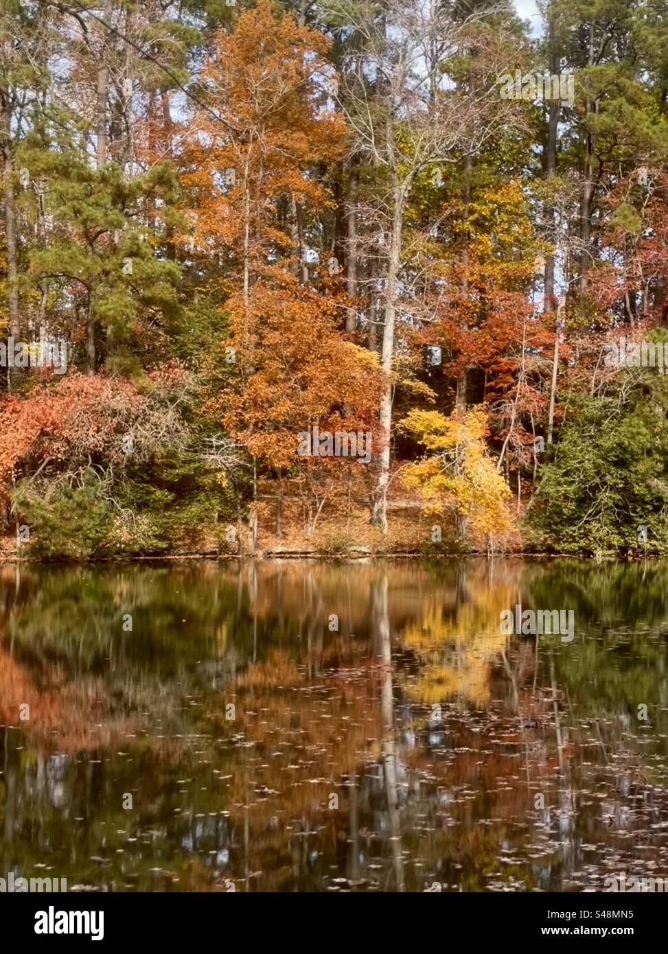 Fall colors over a lake in Virginia. Stock Photo