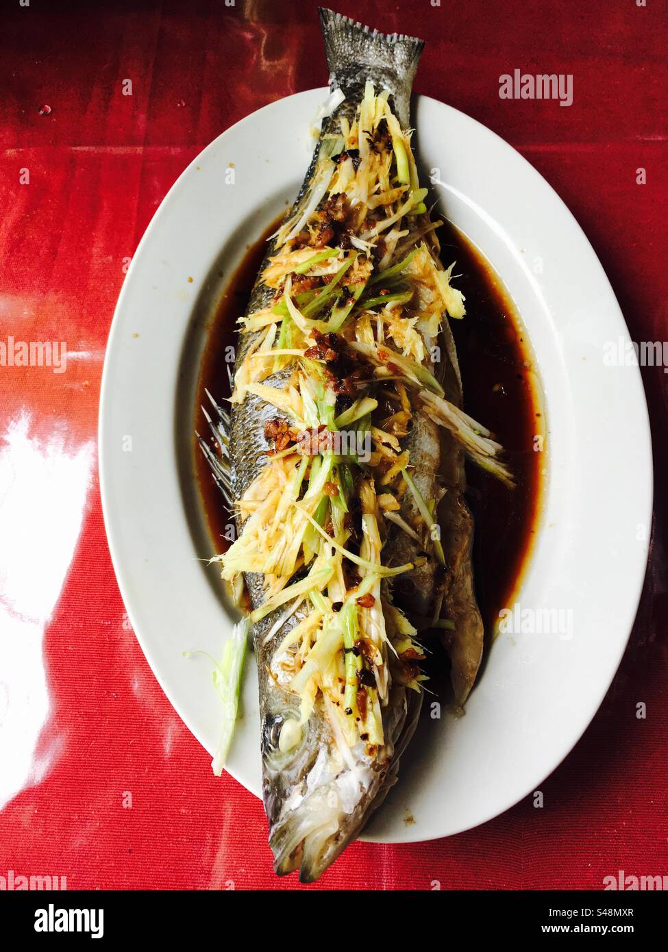 Close-up picture of a rainbow trout dish in soja sauce and ginger - Smartphone Captured Stock Image