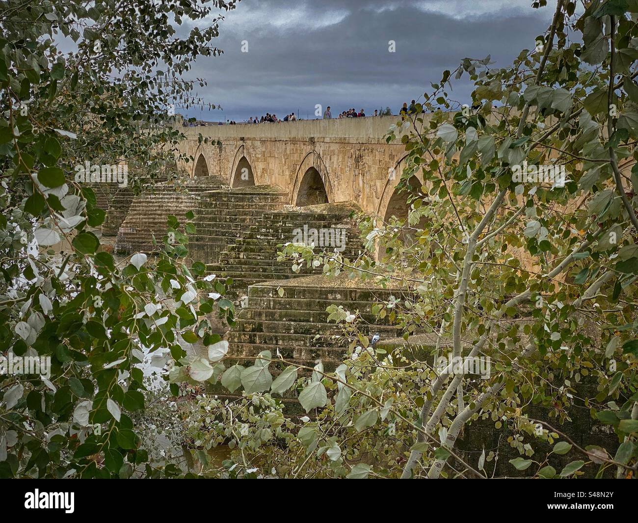 Detail of old Roman Bridge in Córdoba with tree branches in the foreground, Spain. - Smartphone Captured Stock Image