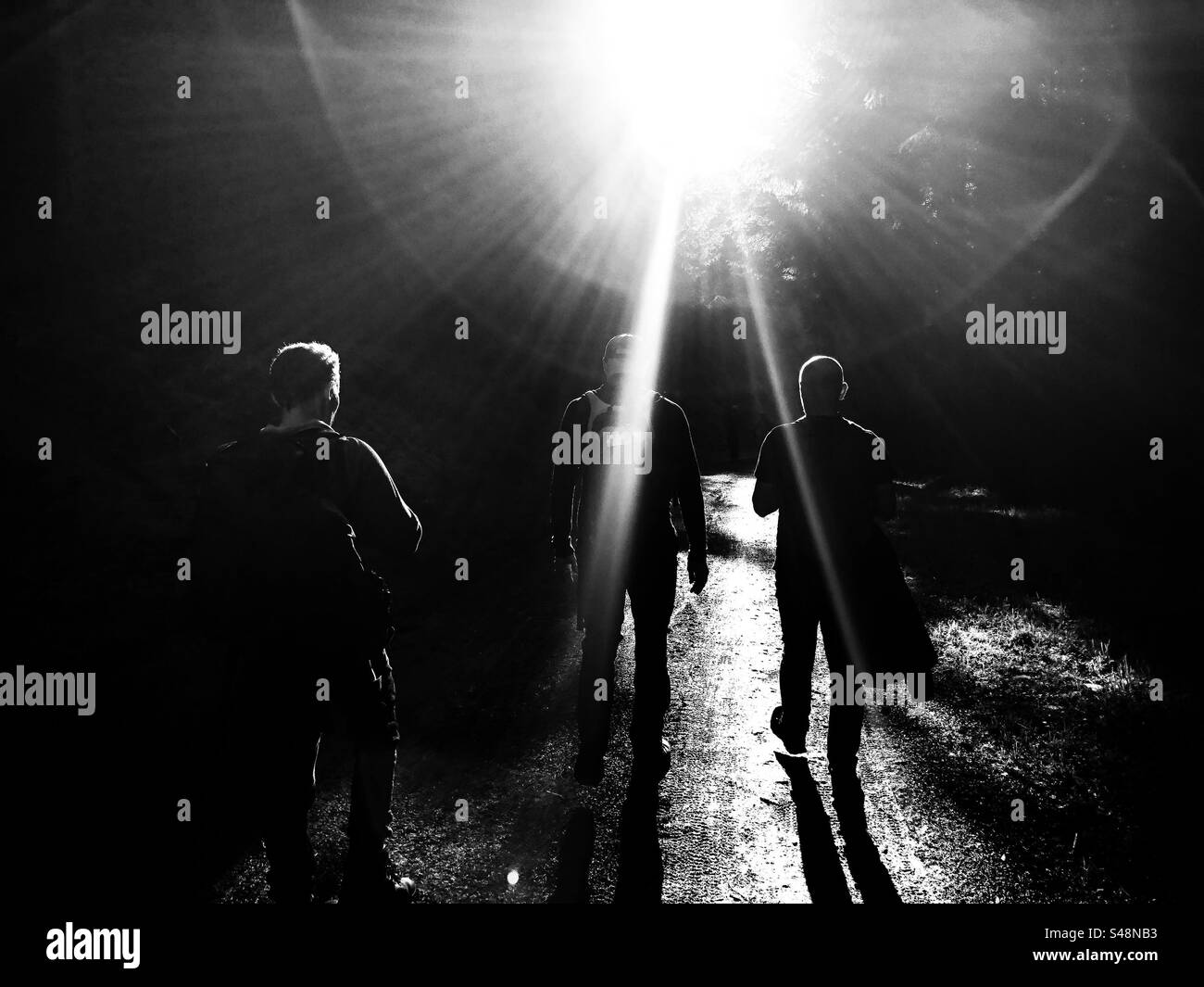 Hikers in the woods - Smartphone Captured Stock Image