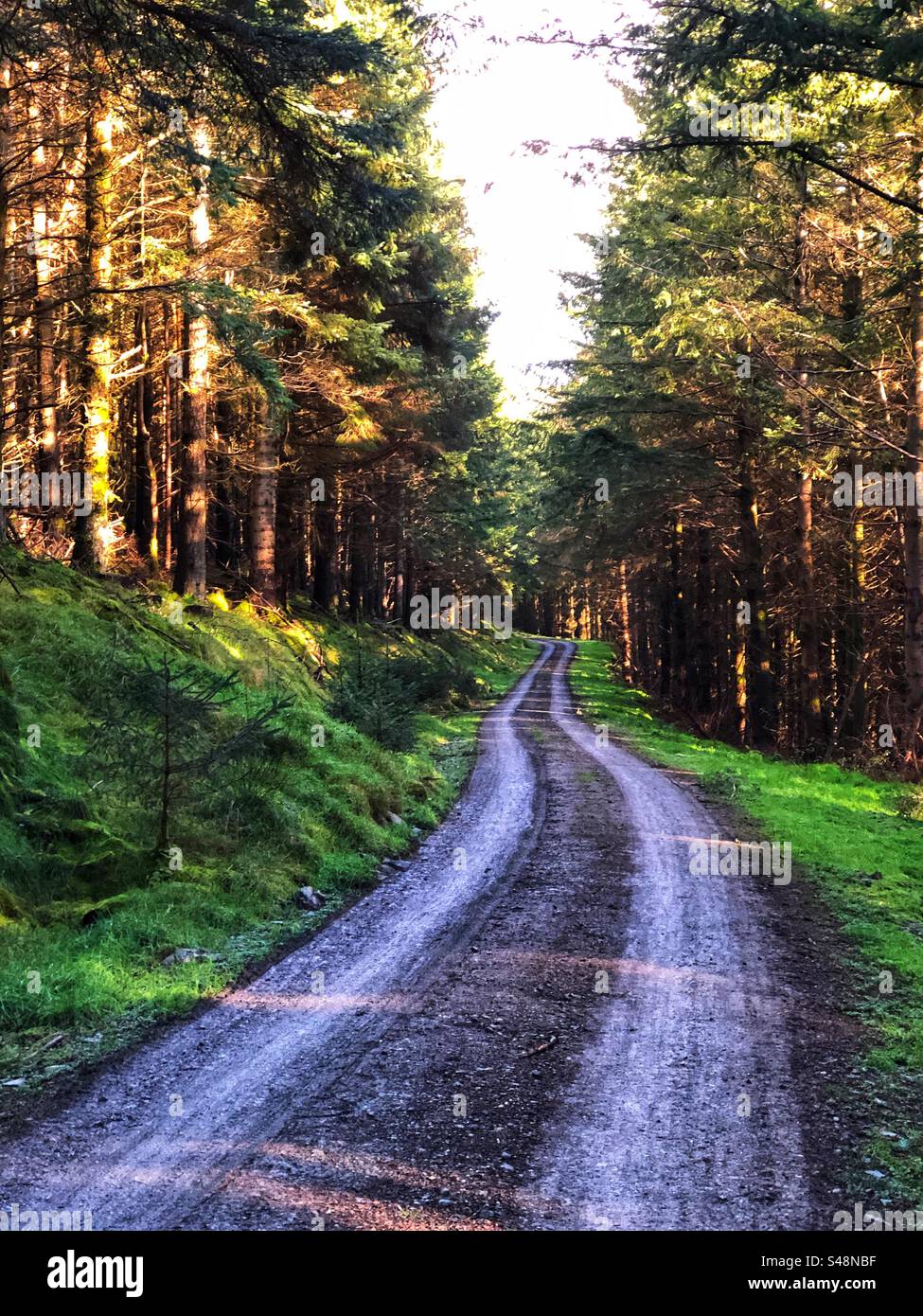 Spooky track hi-res stock photography and images - Alamy