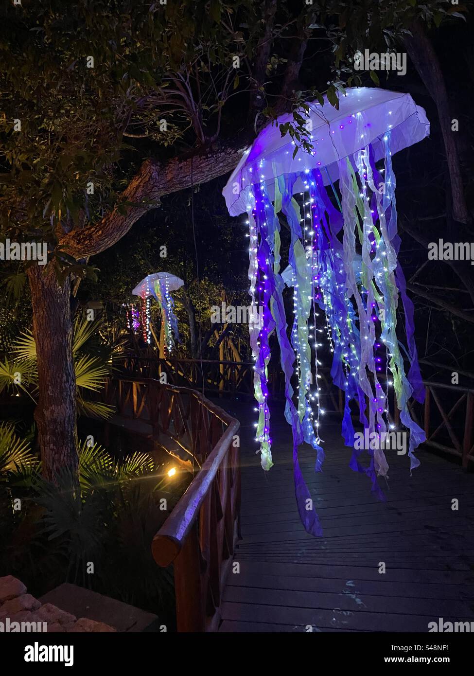 Jelly fish tree art Stock Photo Alamy