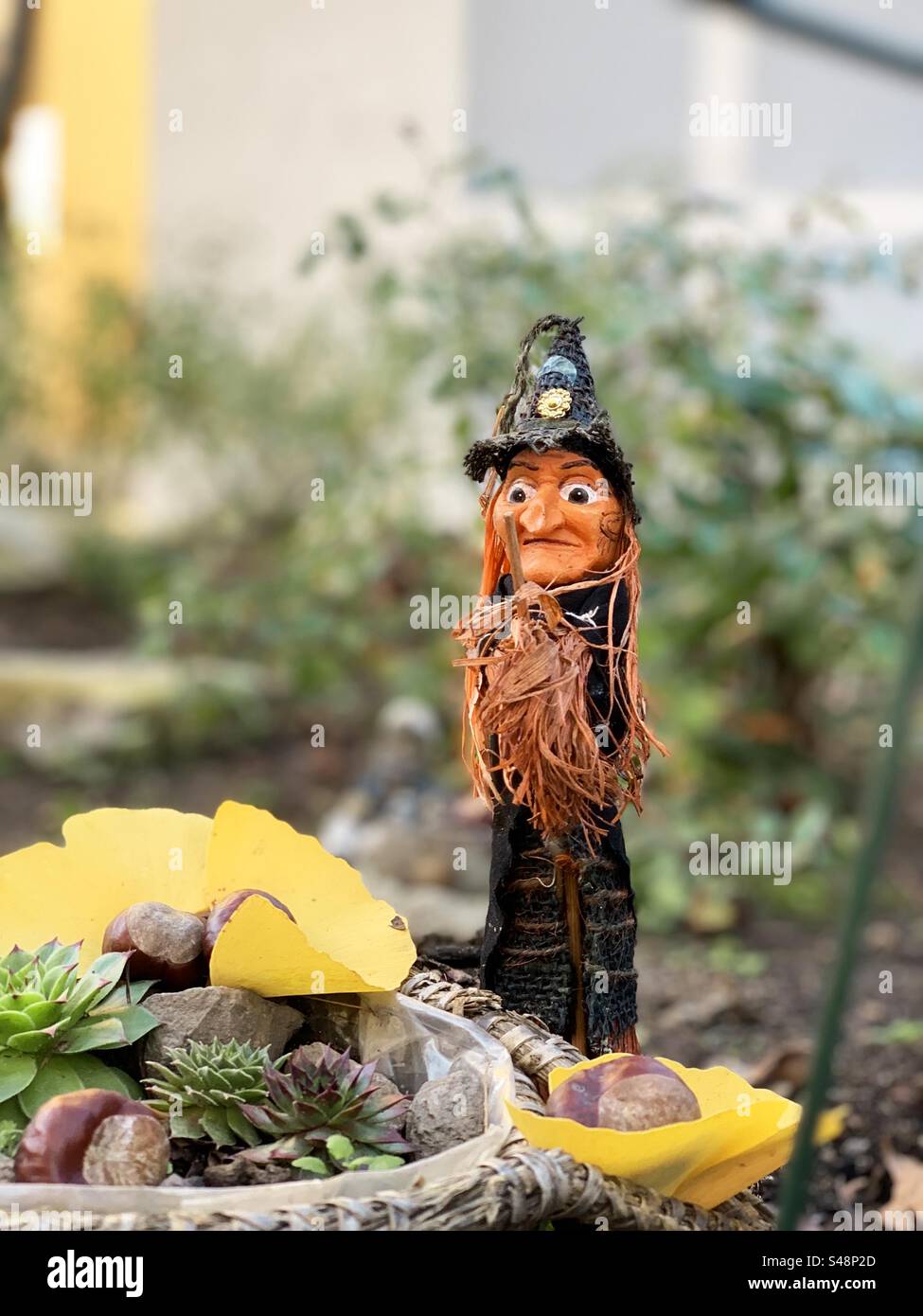 Evil witch in autumn garden - Smartphone Captured Stock Image