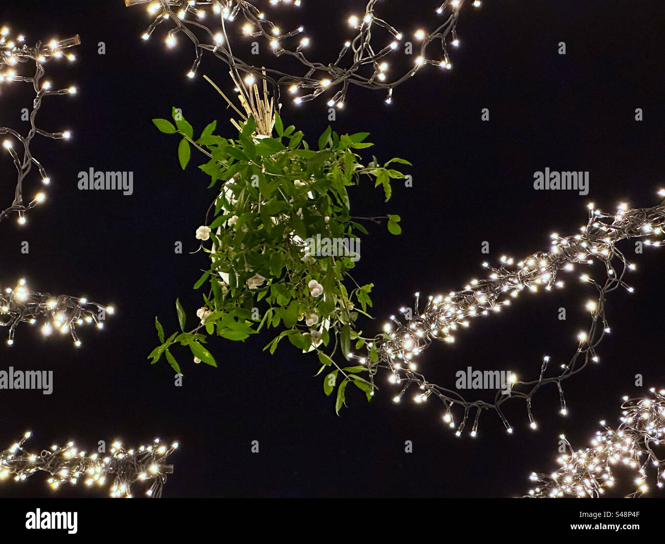 A close up of a bunch of mistletoe hanging from fairy lights at Liseberg theme park, Gothenburg, Sweden at Christmas. - Smartphone Captured Stock Image