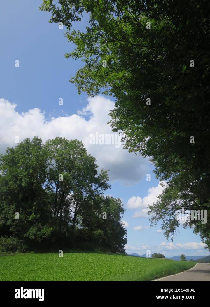 Swiss Landscape! - Smartphone Captured Stock Image