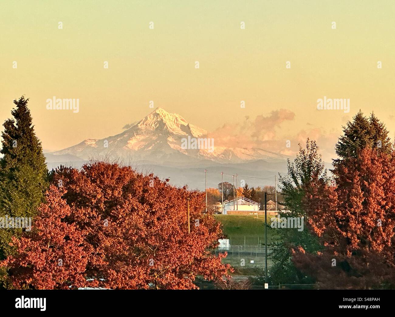Mount Hood, taken from Portland Oregon. - Smartphone Captured Stock Image