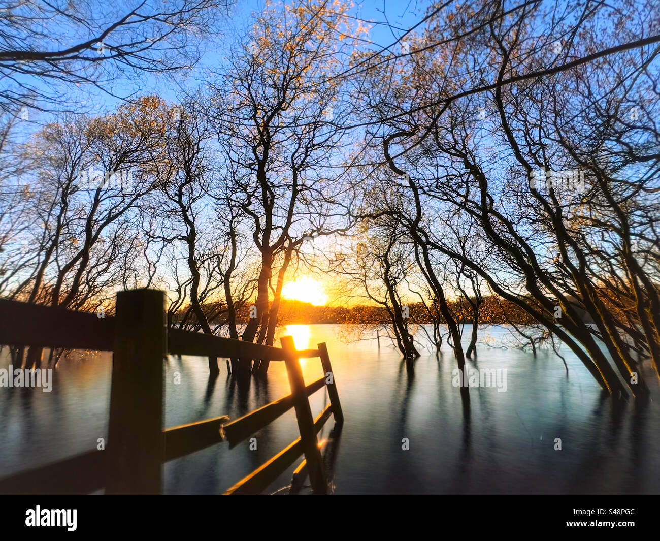 Partially submerged trees and fence in late evening light at Rivington reservoir near Chorley in Lancashire - Smartphone Captured Stock Image Partially submerged trees and fence in late evening light at Rivington reservoir near Chorley in Lancashire - Smartphone Captured Stock Image