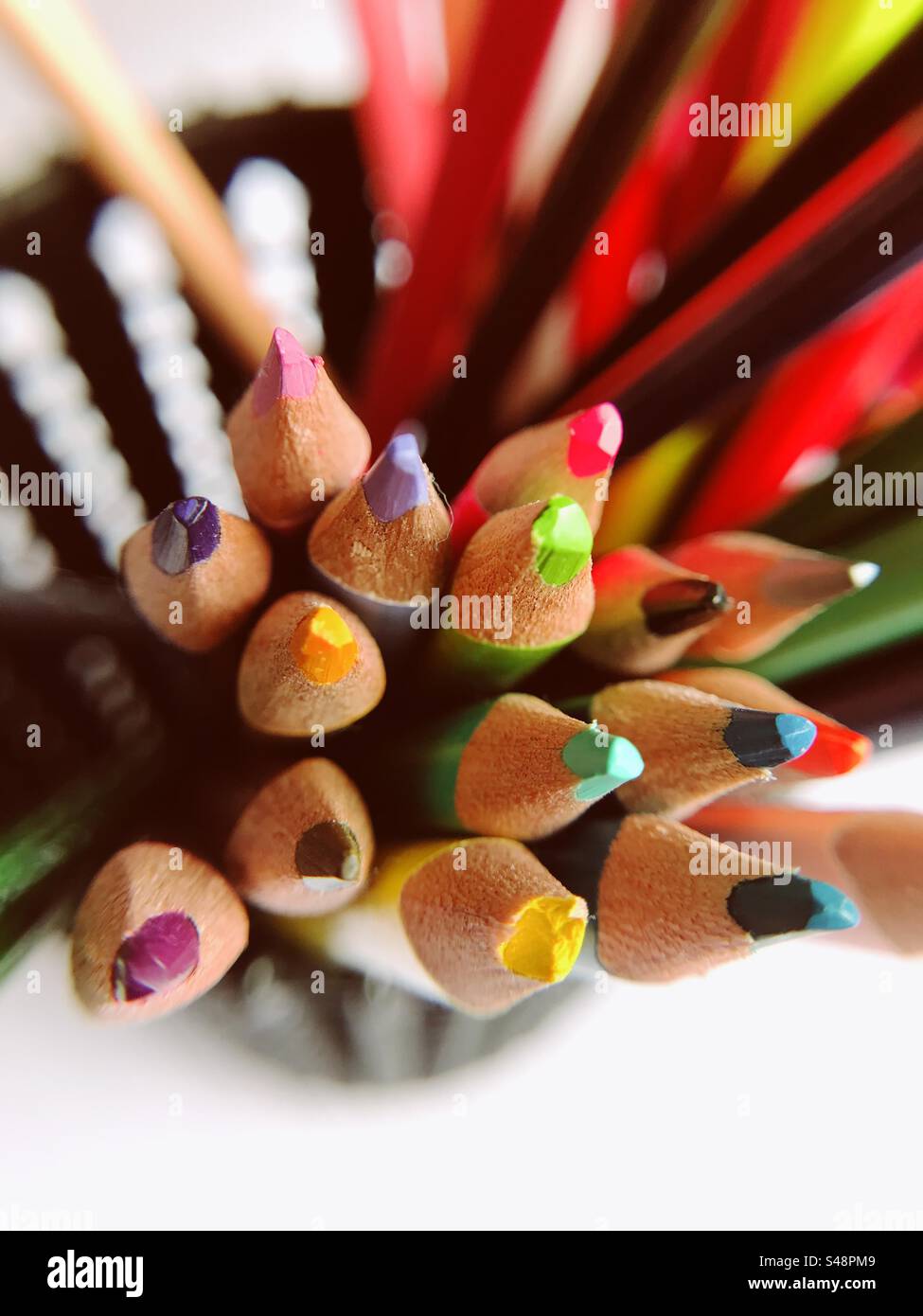 Colour pencils for schoolwork Stock Photo