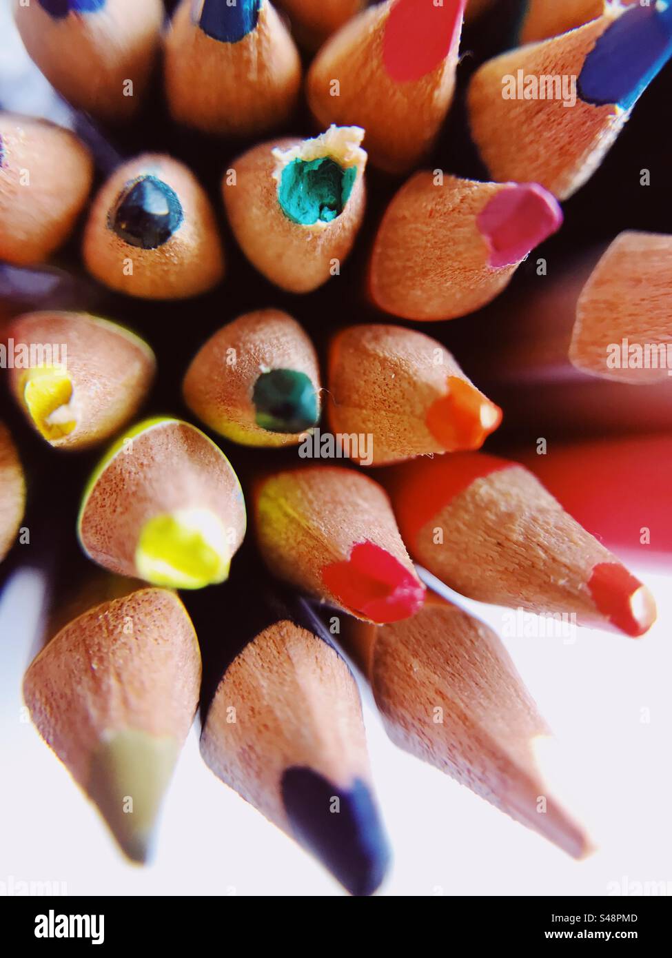 Colour pencils for schoolwork Stock Photo