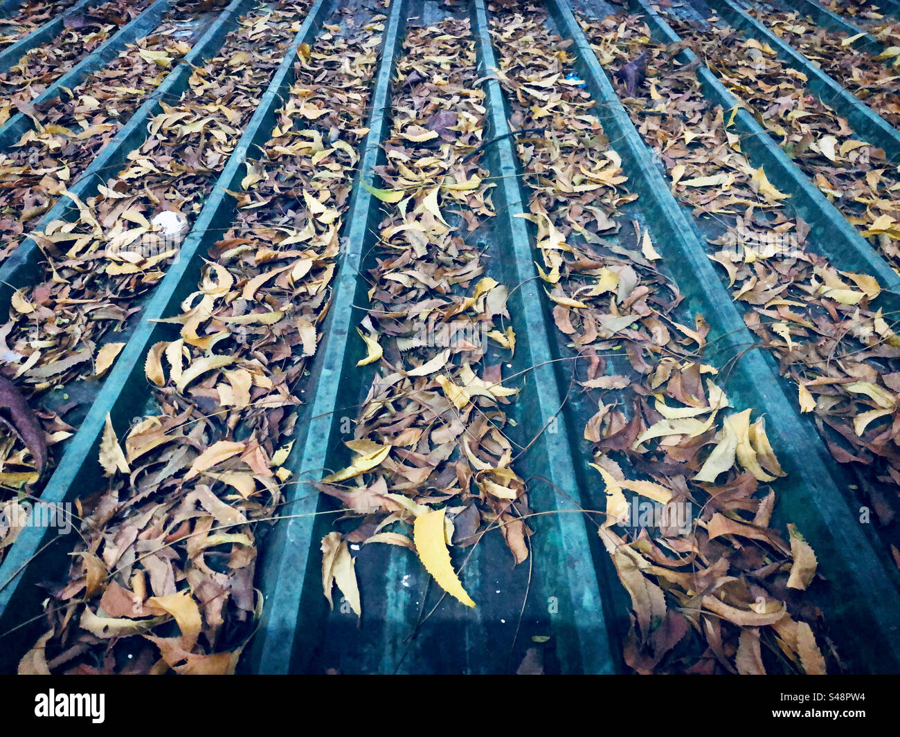 Leaves roof hi-res stock photography and images - Alamy