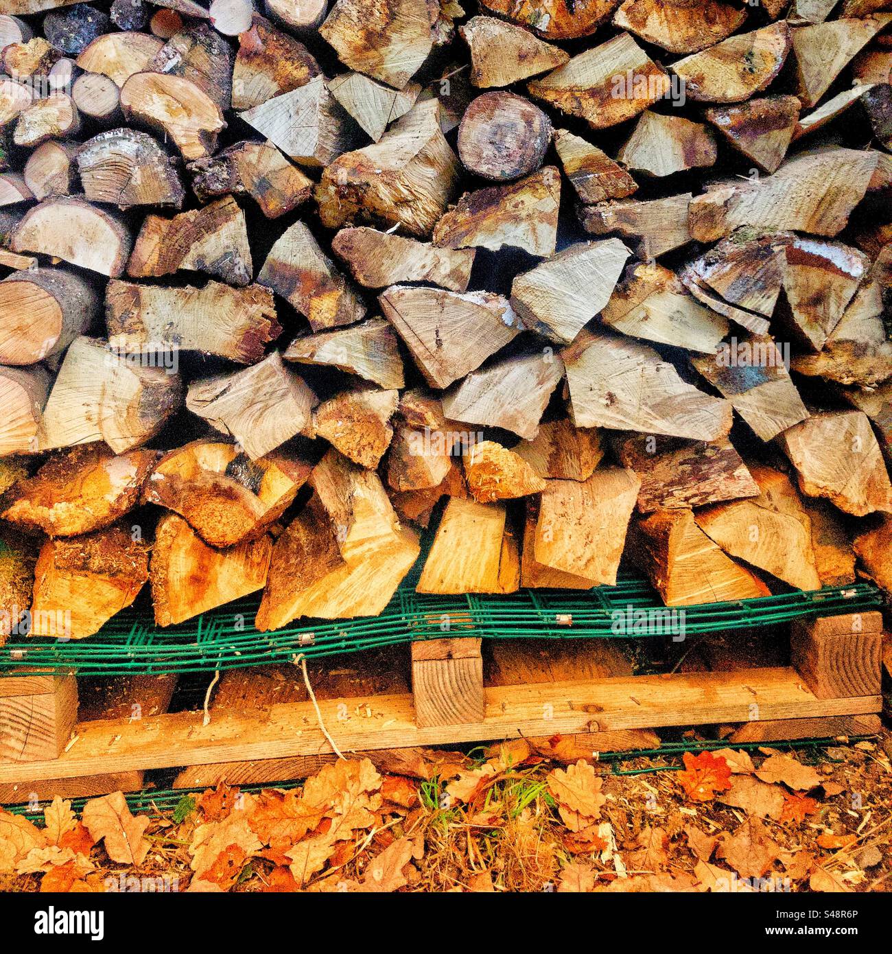 Logs stacked for forthcoming winter months. North Wales, UK, - Smartphone Captured Stock Image