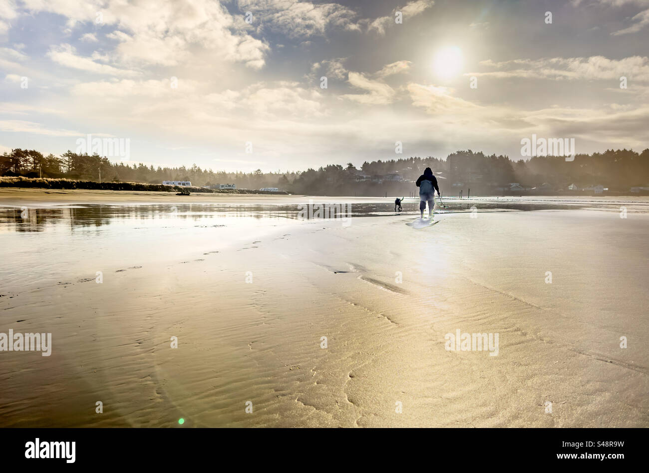 Morning at the beach with dog - Smartphone Captured Stock Image