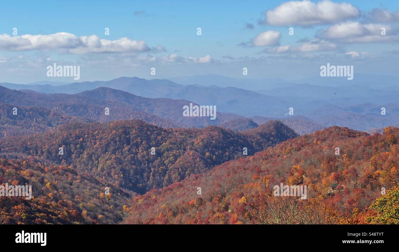 Fall foliage in the Great Smokey Mountains National Park! Stock Photo
