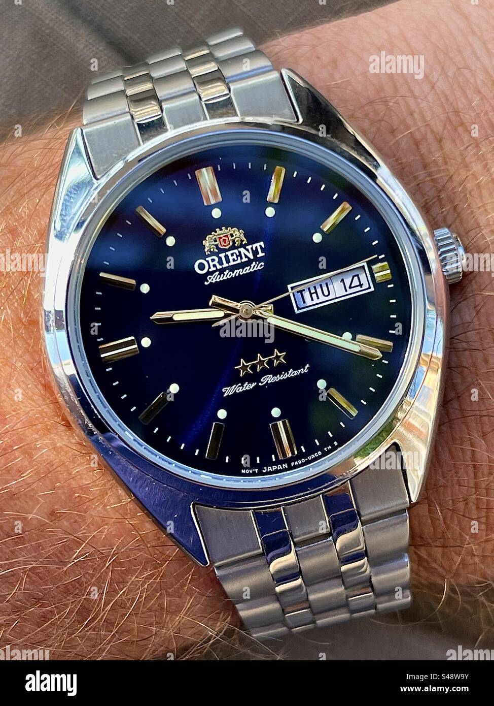 Close up shot of an Orient Tristar automatic mechanical watch with gold hands and a deep blue dial on hairy wrist Stock Photo Alamy