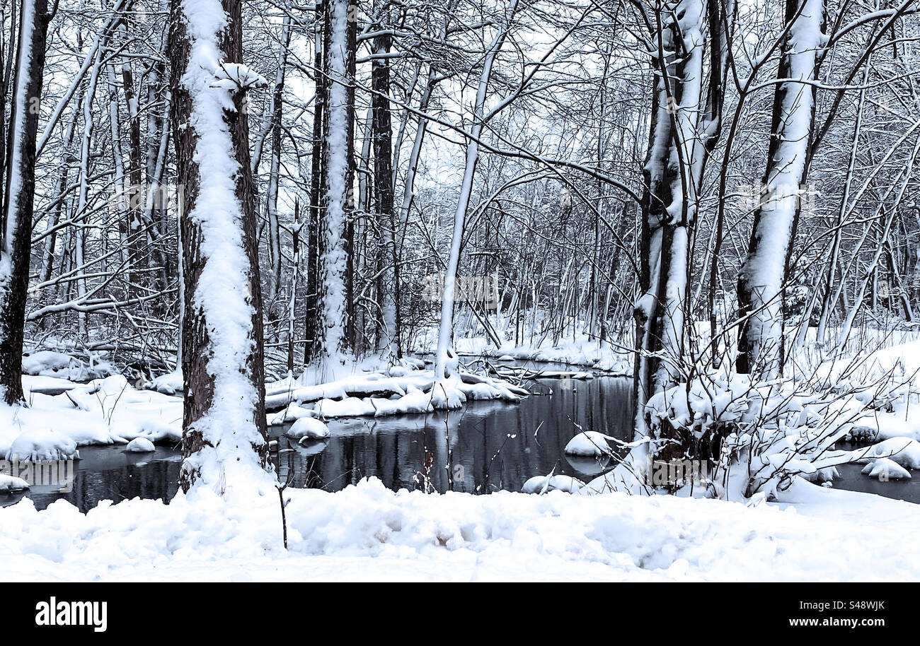 Winter Snow Stream in the Woods Stock Photo