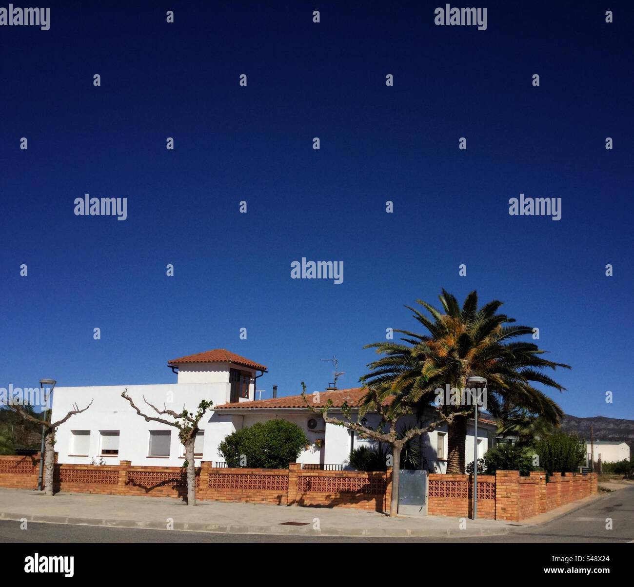 White house, blue sky and palm tree, Catalonia, Spain. Stock Photo