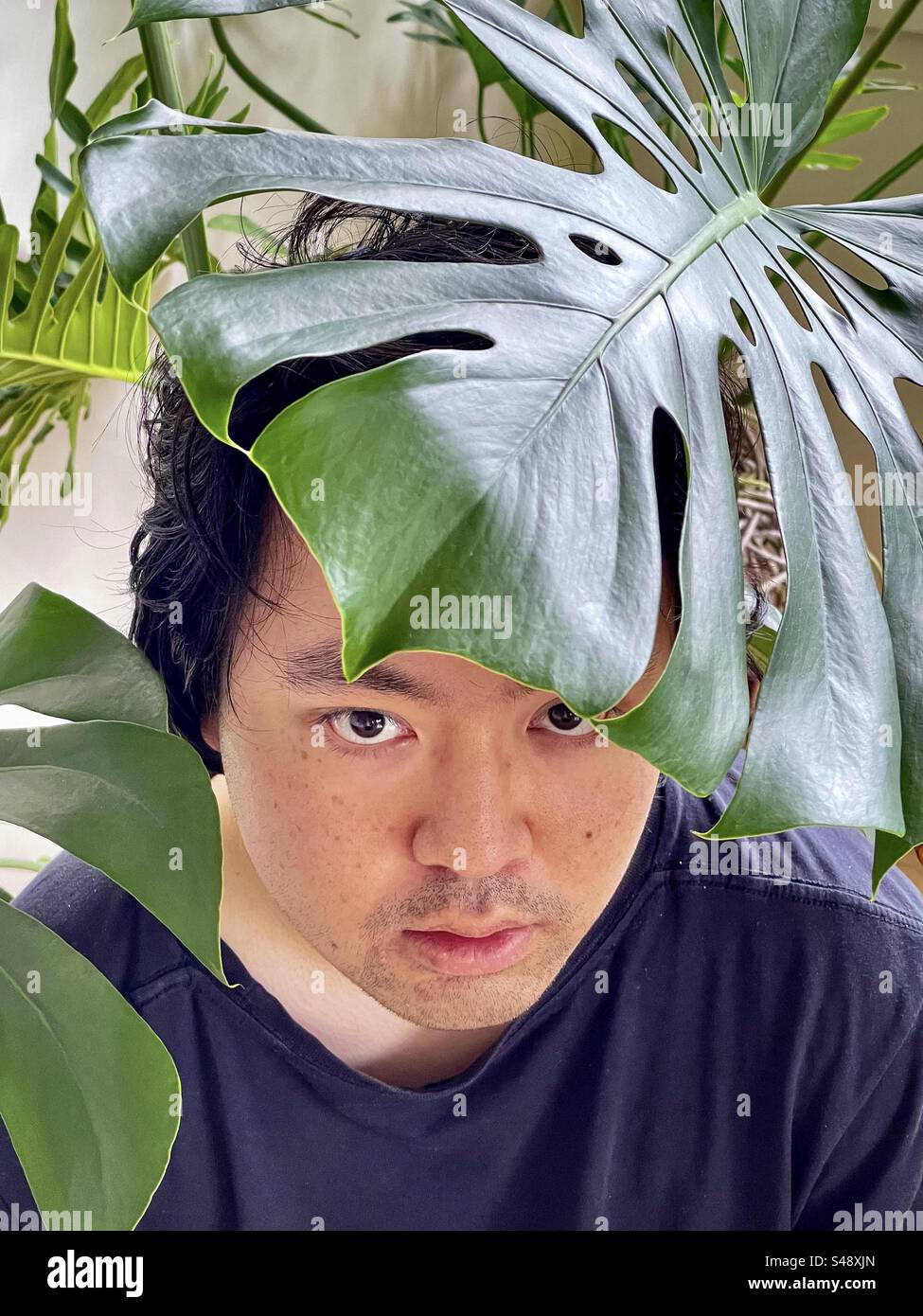 Portrait of young Asian man framed by houseplants. - Smartphone Captured Stock Image