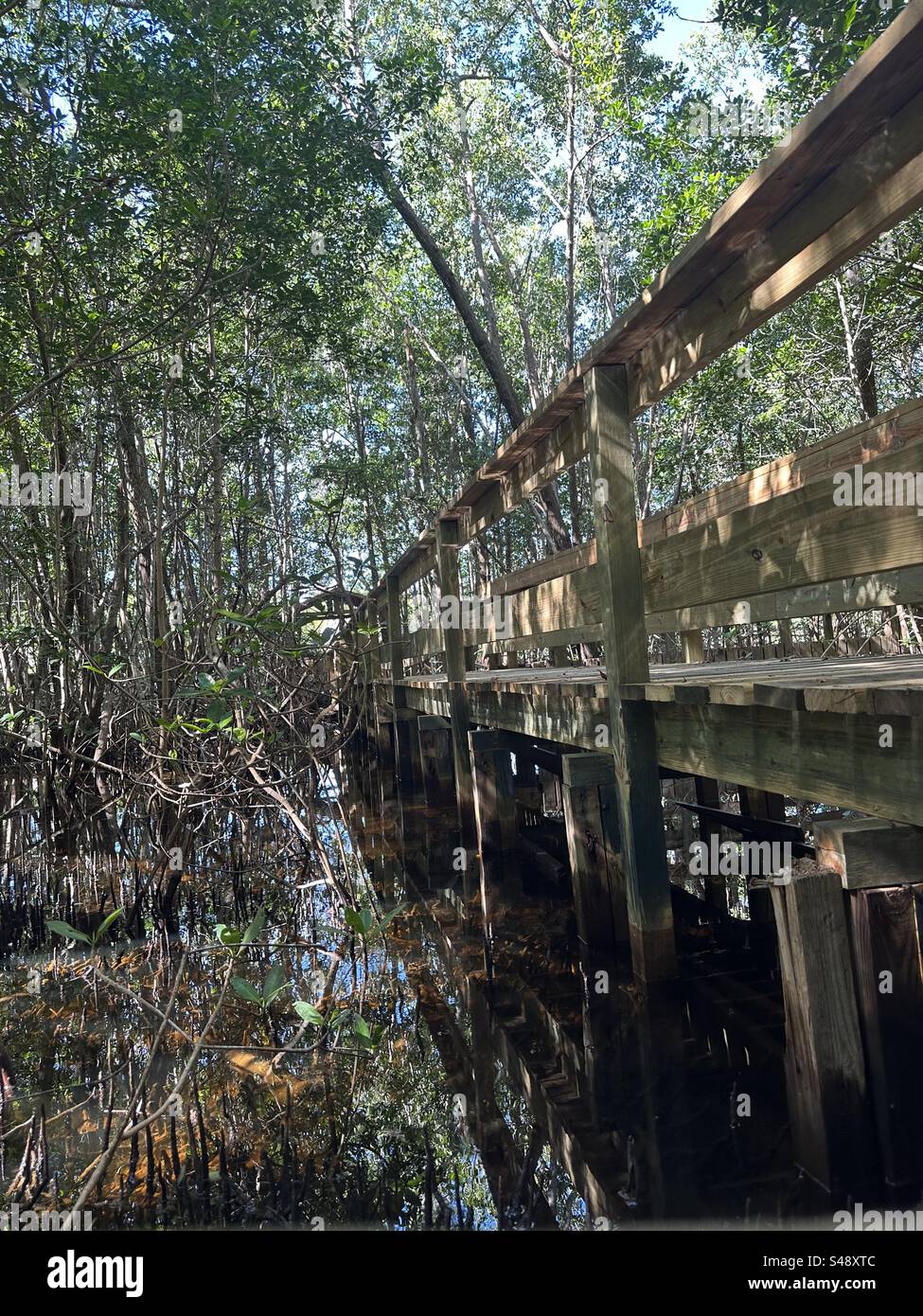 Everglades walking tour. Stock Photo