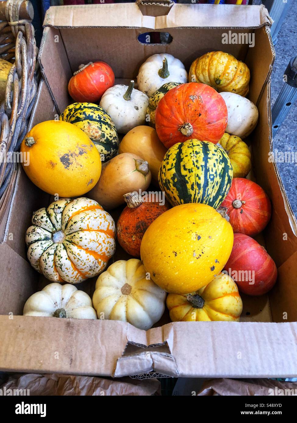 Colourful assorted squash for sale at local farmers market - Smartphone Captured Stock Image