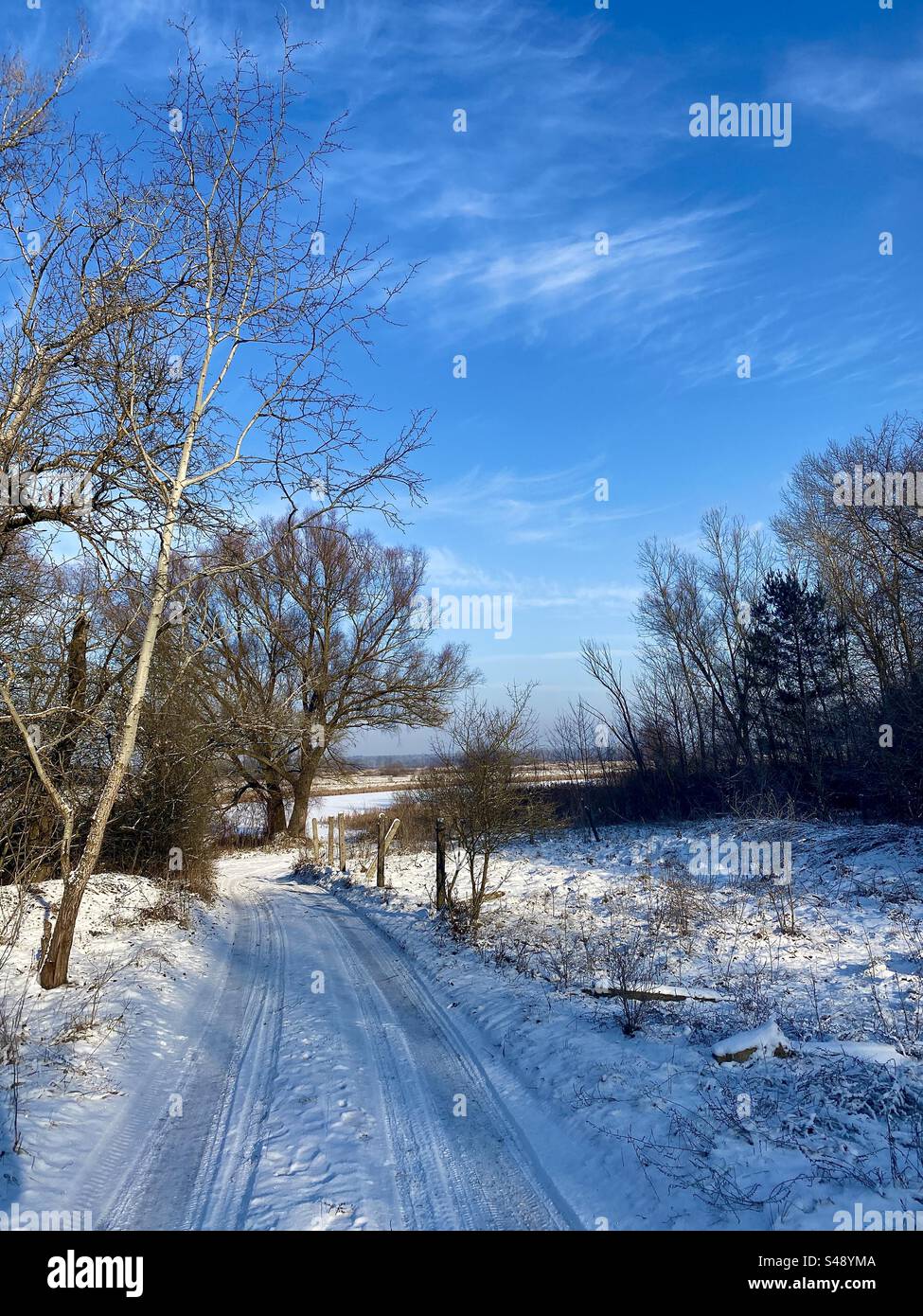 Country road in Poland in winter - Smartphone Captured Stock Image