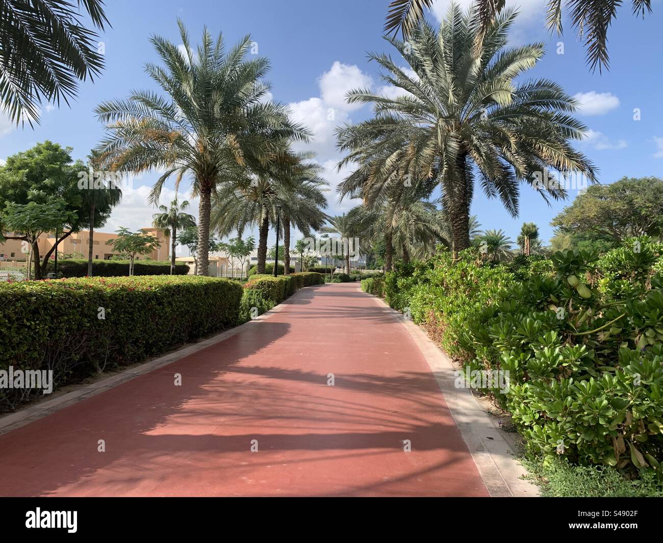 Running track in Al Barsha Pond Park, Dubai, United Arab Emirates - Smartphone Captured Stock Image
