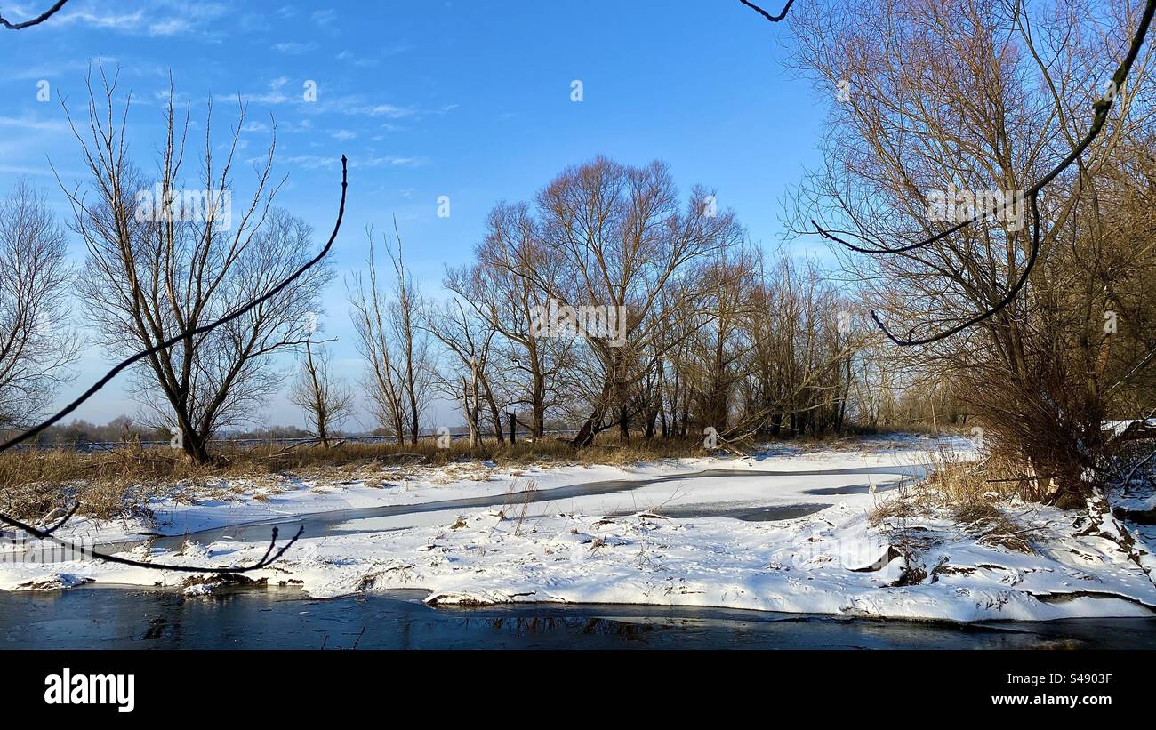 Floodwaters of the Narew River in Poland in winter - Smartphone Captured Stock Image