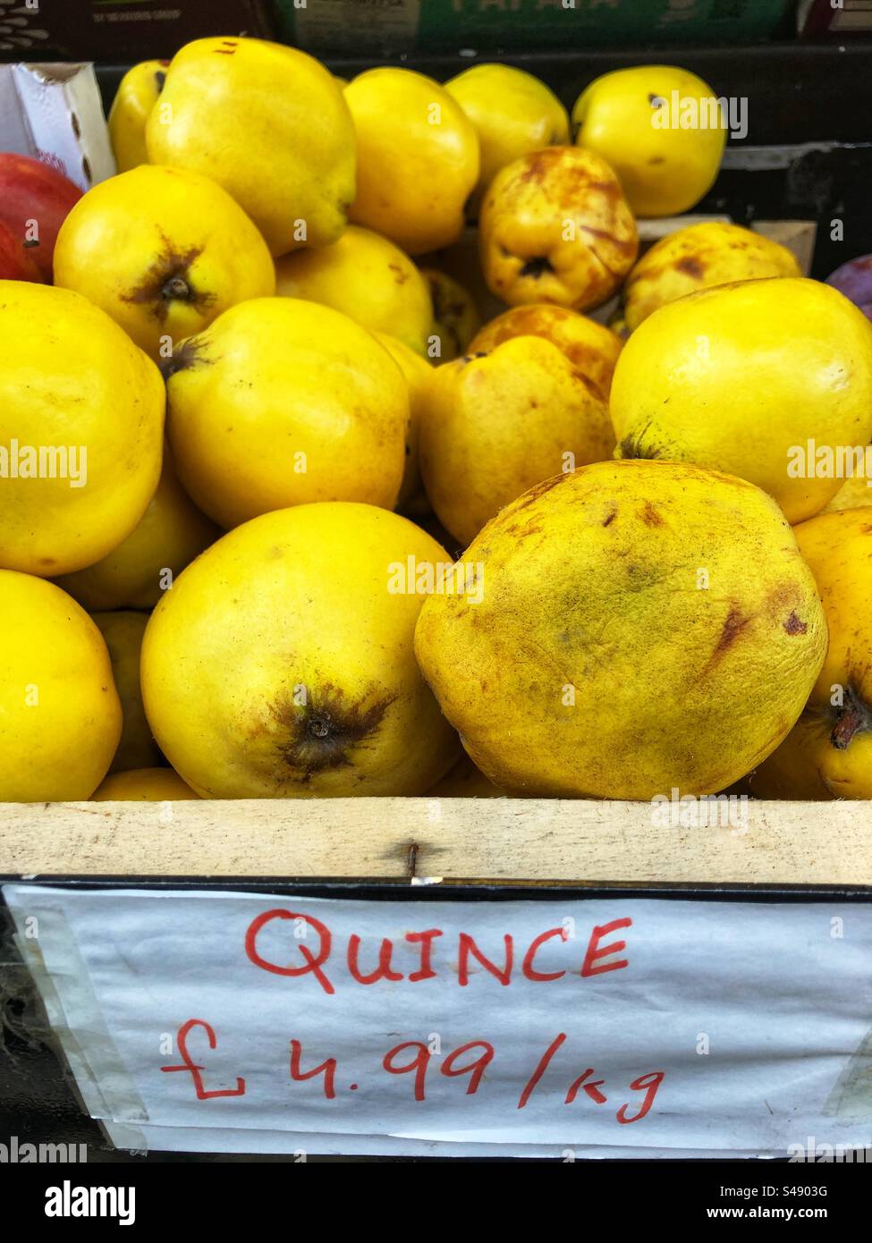 Quince priced up for sale at Grocers shop - Cydonia oblonga - Smartphone Captured Stock Image